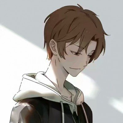 老头乐向小米汽车致歉